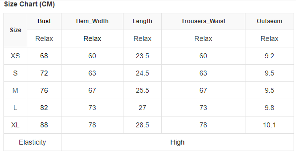 Rose Leopard Mesh Trim 2pcs Bikini Swimsuit